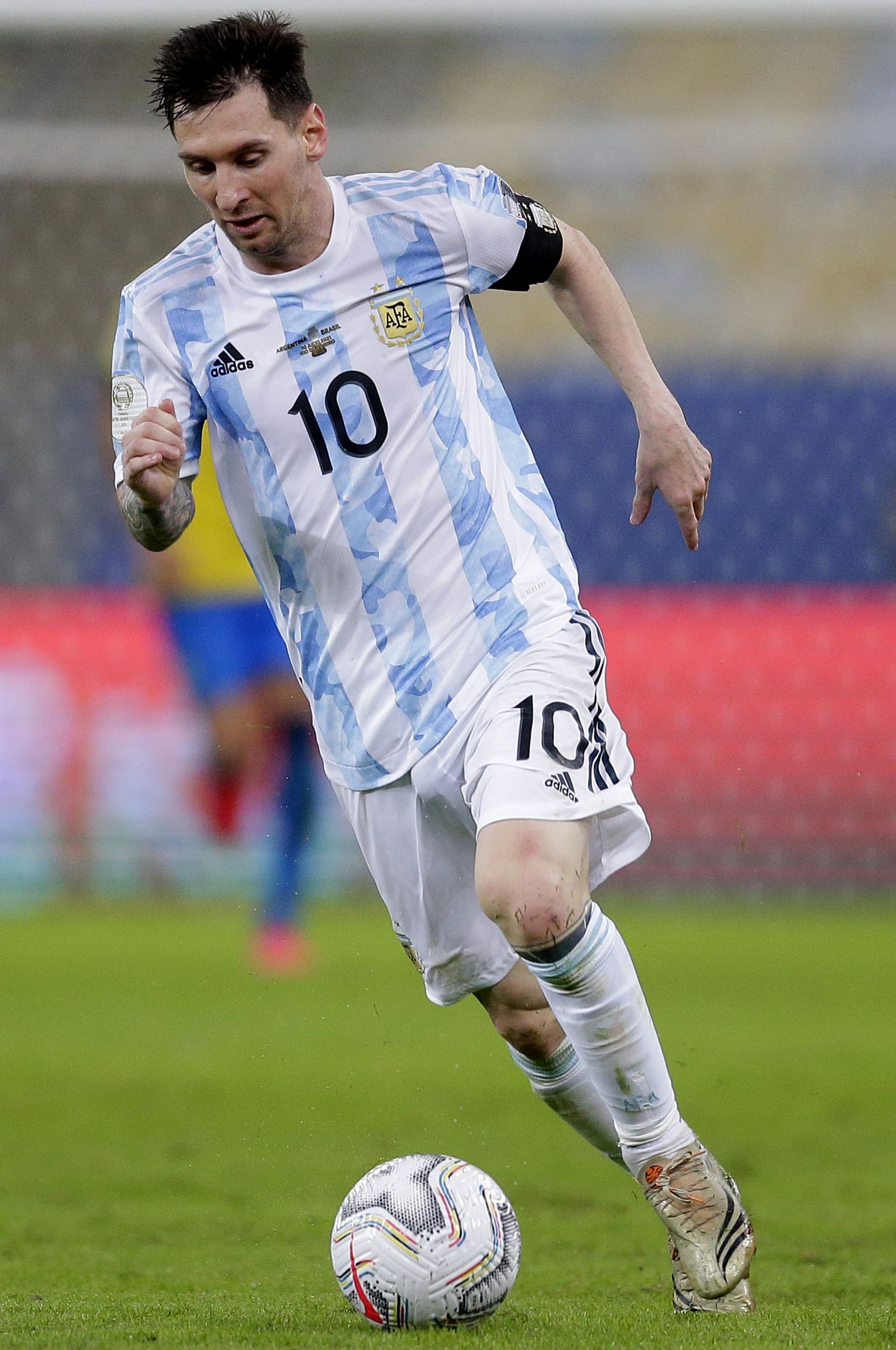 由此可见 由此可见